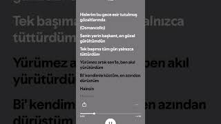 P0Izi - Hainsin