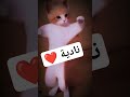 نادية 