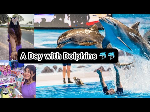 Dubai Dolphinarium🐬 Day-3 in Dubai.. #youtube #youtubevideos #viralvideo