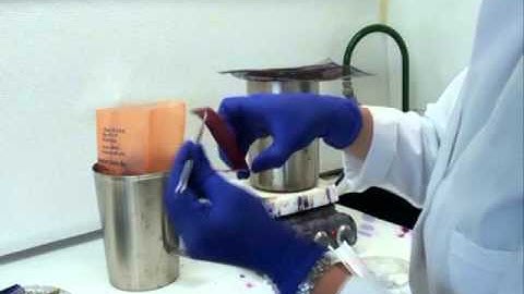 How to Do an Acid-fast Stain (Ziehl-Neelsen)