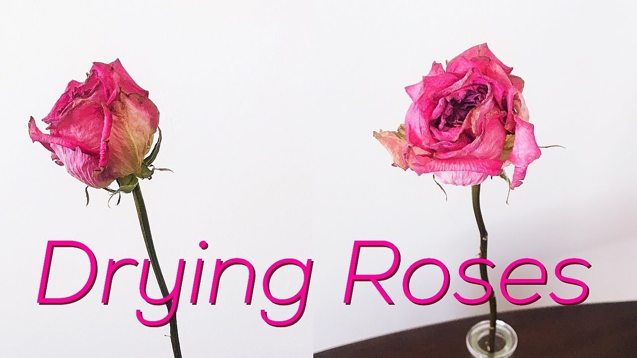 Resin Flowers - How to Dry and Preserve Flowers in Epoxy Resin