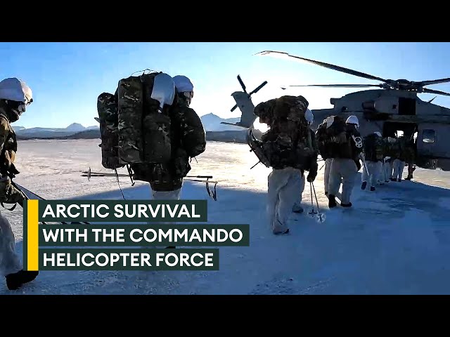 How to survive in the freezing Arctic with the Commando Helicopter Force class=