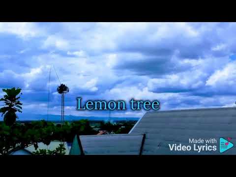 lemon-tree-lyrics---the-beatles