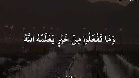 وديع اليمني سورة البقرة ٱلْحَجُّ أَشْهُرٌ مَّعْلُومَٰتٌ ۚ فَمَن فَرَضَ فِيهِنَّ ٱلْحَجَّ فَلَا .