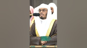 سورة التكاثر - تلاوة الشيخ #ياسر_الدوسري