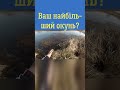 Який Ваш трофейний окунь? Піймав гарного окуня! Спінінгова риболовля на окуня