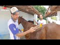 Resenha Luquinhas E Samuca - Os Melhores Tratamentos Para A Tropa!