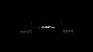 коплю на пит#дайтеденег