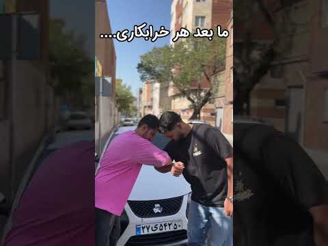 مارو همیشه اشتباه میگیرن با پت و مت از بس خرابکاری میکنیم