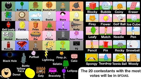 “BFDIA Secondary” Season Voting