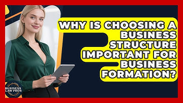 Why Is Choosing a Business Structure Important for Business Formation? | Business Law Pros News