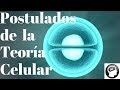 Postulados de la Teoría celular