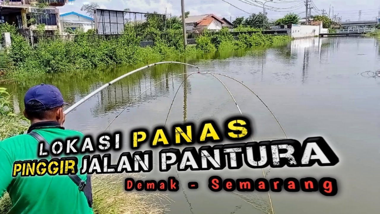 Eps.49 BRANJANG IKAN DI PINGGIR JALAN PANTURA DEPAN KAMPUS UNISSULA SEMARANG