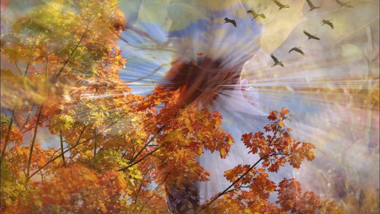 дул легкий ветерок но листок. дул легкий ветерок но листок. листья кружатся в воздухе. ветер ветерок. листья в воздухе.