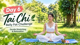 7-Day Tai Chi Belly Fat Challenge | Day 6: Gentle Stretching & Relaxation – 20 Min Morning Flow
