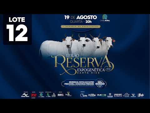 LOTE 12   GRI C9525