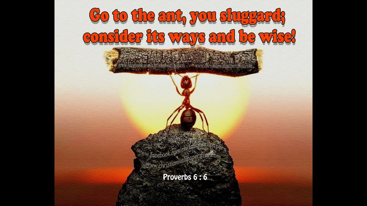 Ants Vs Lizard Power