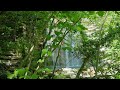 Коаго. Водопад &quot;Богатырь&quot;. 8К видео. Геленджик. Кавказ. #gelendzhik  #waterfalls  #caucasus