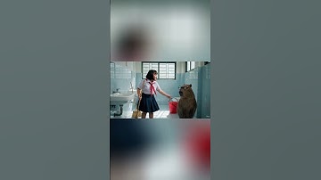 Capybara và Lan dọn nhà vệ sinh bị Hùng Trọc đập vỡ ống nước trường và cái kết #capybara