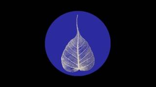 161203 A Place to Heal \ \ Thanissaro Bhikkhu \ \ Short Dhamma Talk