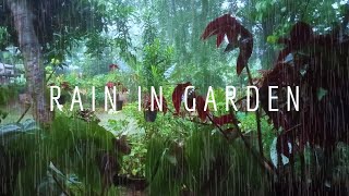 ? Heavy Rain in Garden House for Sleeping, Rain Sounds Makes you Fall Asleep