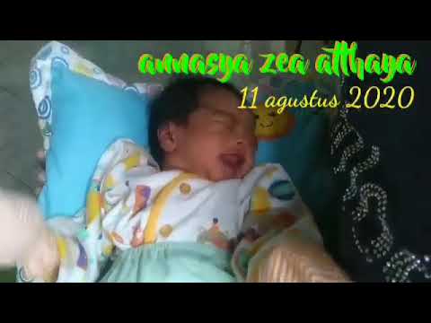 BIGO ANAK LUCU GUY