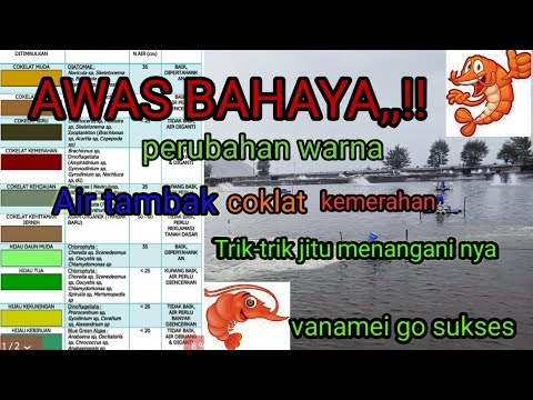 Video: Bagaimana cara merawat kayu coklat kemerah-merahan?