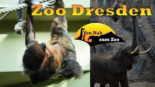 Zoo Dresden - Ein guter Mix aus neu und alt? - Von Nah zum Zoo