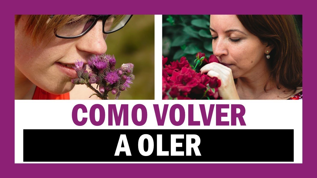 Como Recuperar El Olfato - YouTube