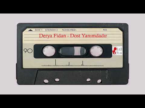 Derya Fidan - Yürüyorum Dikenlerin Üstünde ( Şah Plak 1988 )