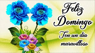 Buenos días Feliz domingo con frases positivas imagenes bonitas y lindo mensaje