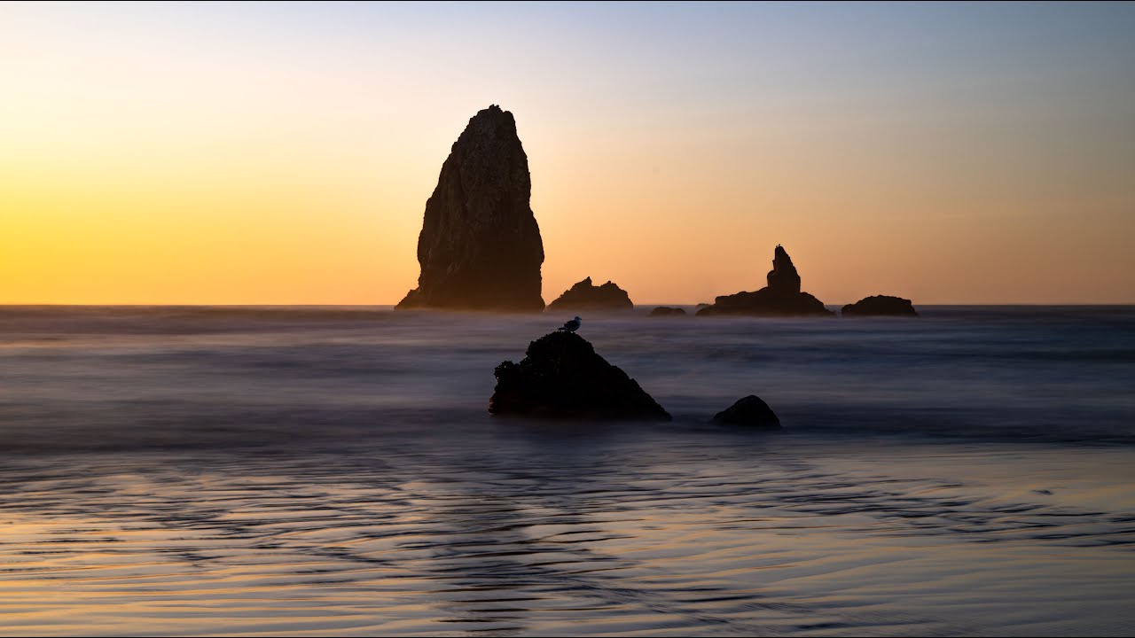 cannon beach haystack rock coast coastal coastline shore shoreline oregon  USA pacific ocean northwest starfish beached purple Stock Photo - Alamy, image size:1280x720
