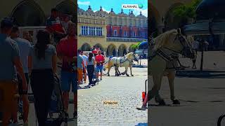 #krakow #travel #trending #tourism #trending