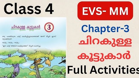 Class 4 EVS MM chapter 3 winged buddies explanation and activities| winged buddies activities
