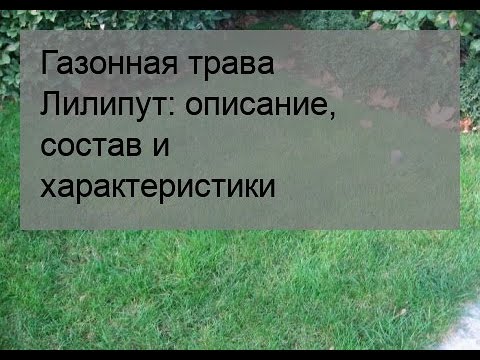 Газонная трава Лилипут: описание, состав и характеристики - YouTube