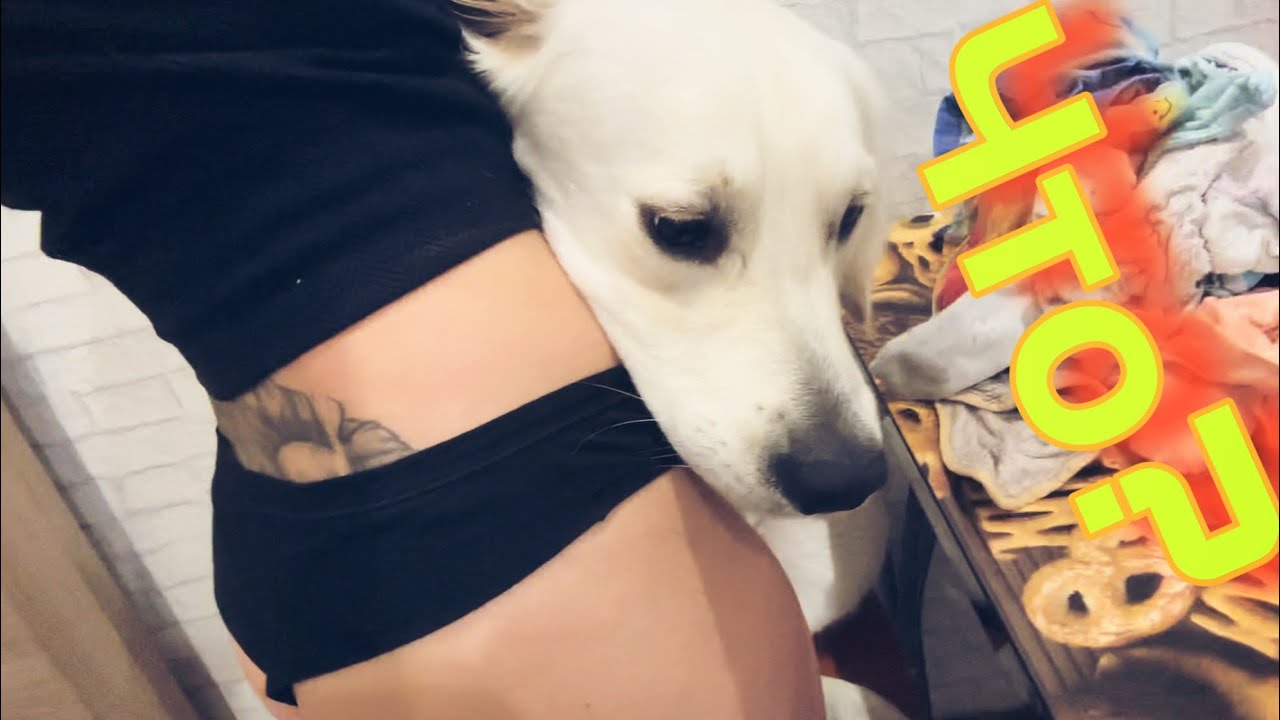 Как меня пытались РАЗВЕСТИ! Вся МОКРАЯ💦 От этого я получаю УДОВОЛЬСТВИЕ ...