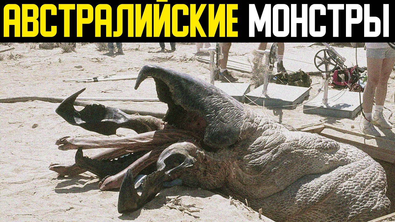 В Австралии находят существ на пляже. Снятые на камеру гуманоиды.