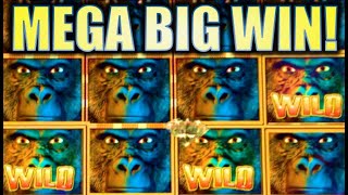 ★AMAZING MEGA BIG WIN!!★ GORILLA CHIEF 🦍 (WMS) | MAX BET SUPER BIG WIN! Slot Machine Bonus screenshot 5