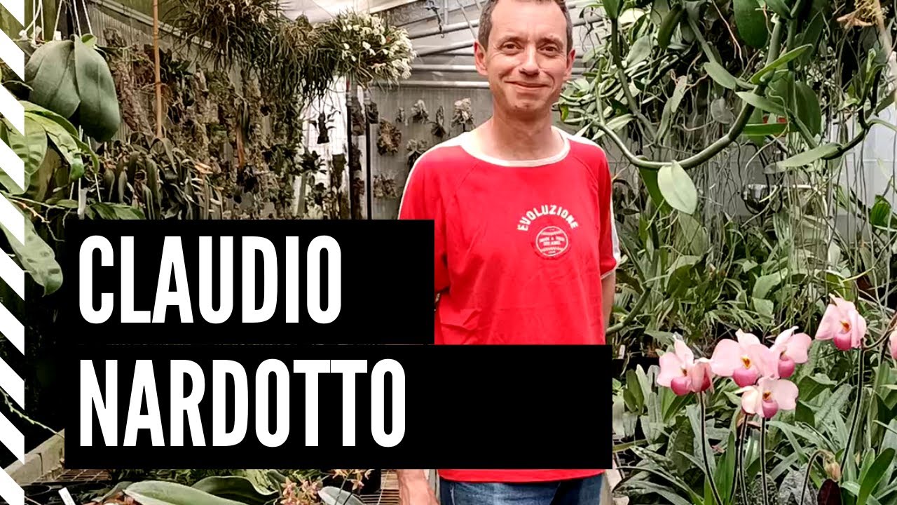 CLAUDIO NARDOTTO: PASSIONE PER LE ORCHIDEE SENZA CONFINI - YouTube