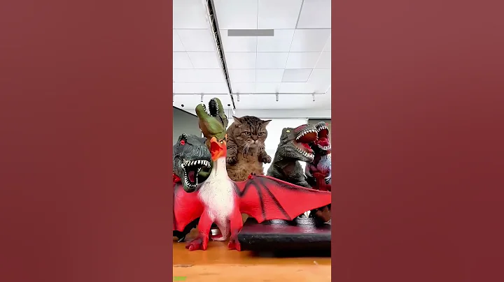 Video 11060711: toilet cat funny, cats mating funny, cat fight funny, funny cat jumping