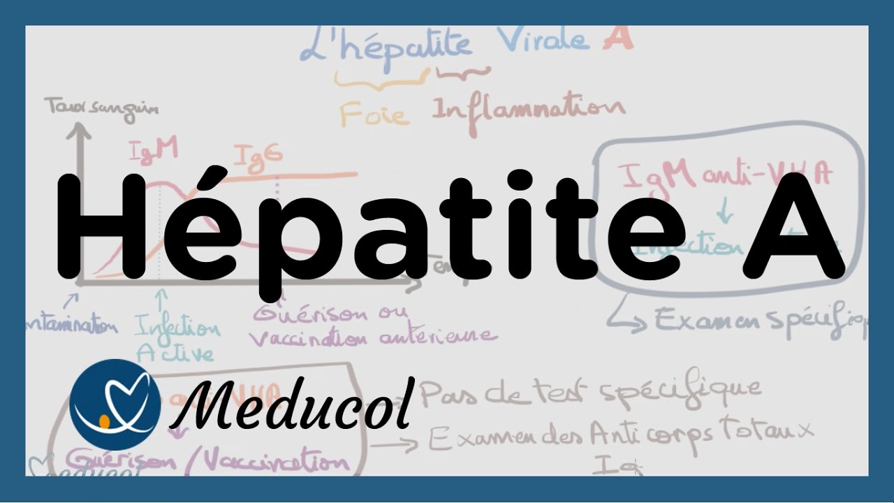 Hépatite A: symptômes, sérologie de l'hépatite A, vaccin et traitement