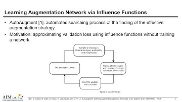 Learning Augmentation Network via Influence Functions