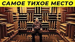 Видео Это Самое Тихое Место в Мире (автор: tophype)
