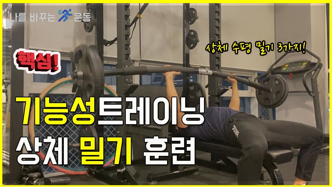 이상한 가슴 운동 ㅣ 수평 밀기 패턴 ㅣ 기능성트레이닝 ㅣ 스테비바 운동 ㅣ TRX 운동