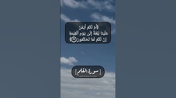 سورة القلم الآية ٣٤ الى ٤١ بصوت الشيخ محمد صديق المنشاوي