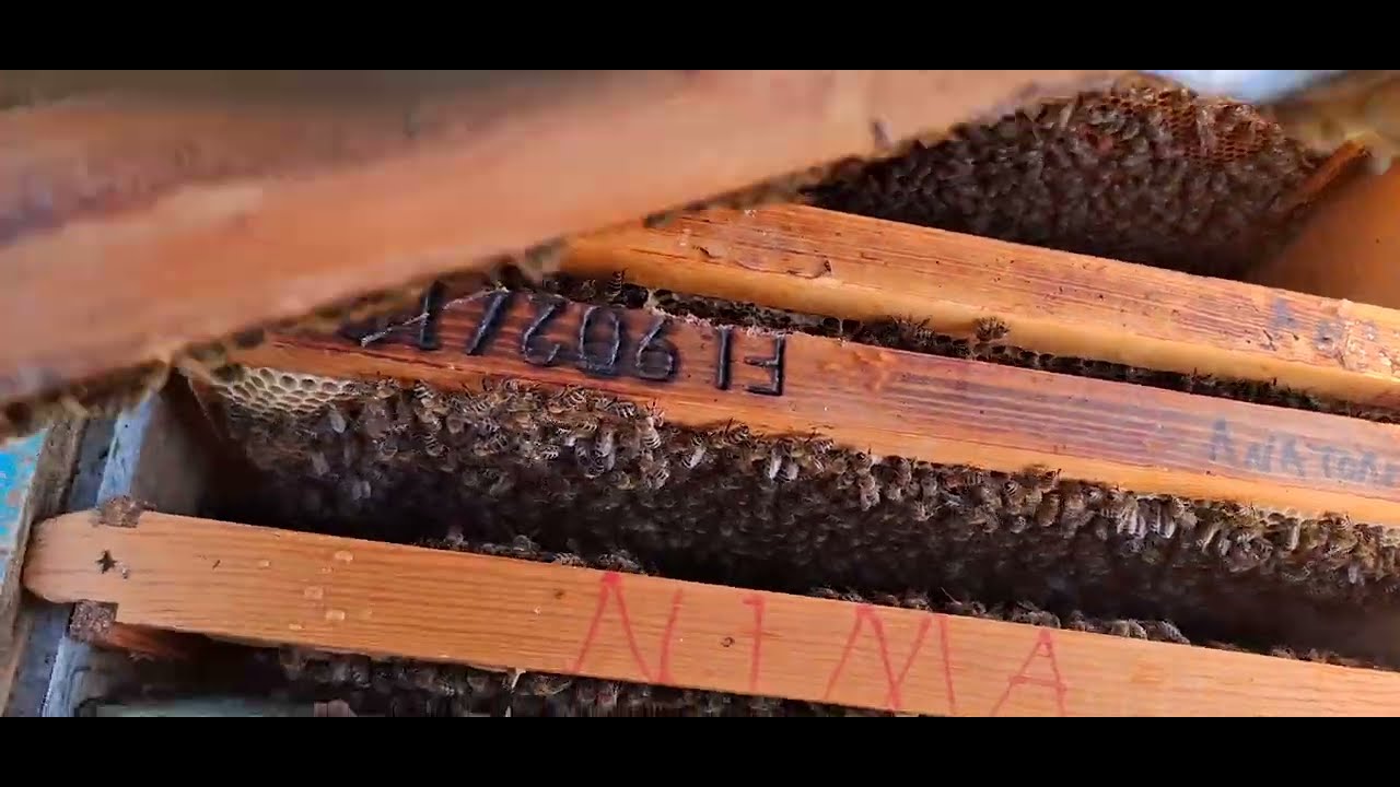 14 Φεβρουαρίου 2026