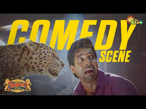 Epic Cheetah Comedy