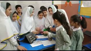 Class 5 science activity l Soil Shake Up!