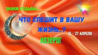 :     .?   21 - 27  Tar`o Ispirazione