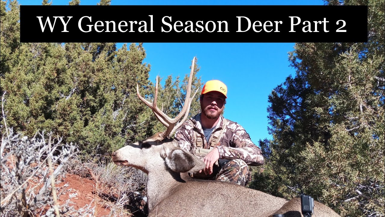 Wyoming Deer Season Dates 2023 Wyoming Deer Season Dates 2023